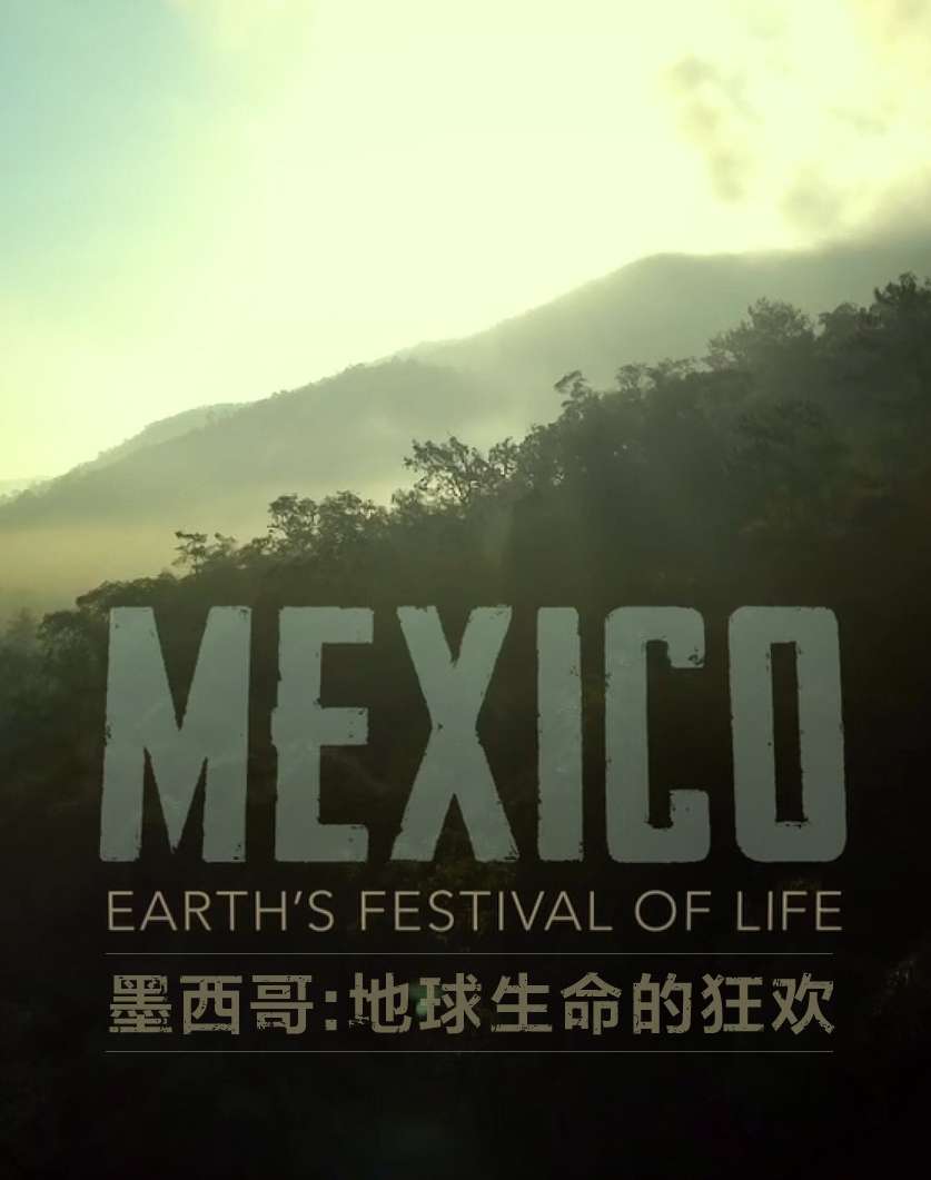 墨西哥:地球生命的狂欢 Mexico Earths Festival Of Life
